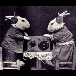 Meet your Posher, Detra